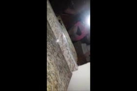 صور بناسكس.اجنبي